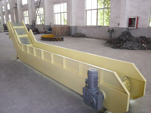 網鏈91网站看片免费